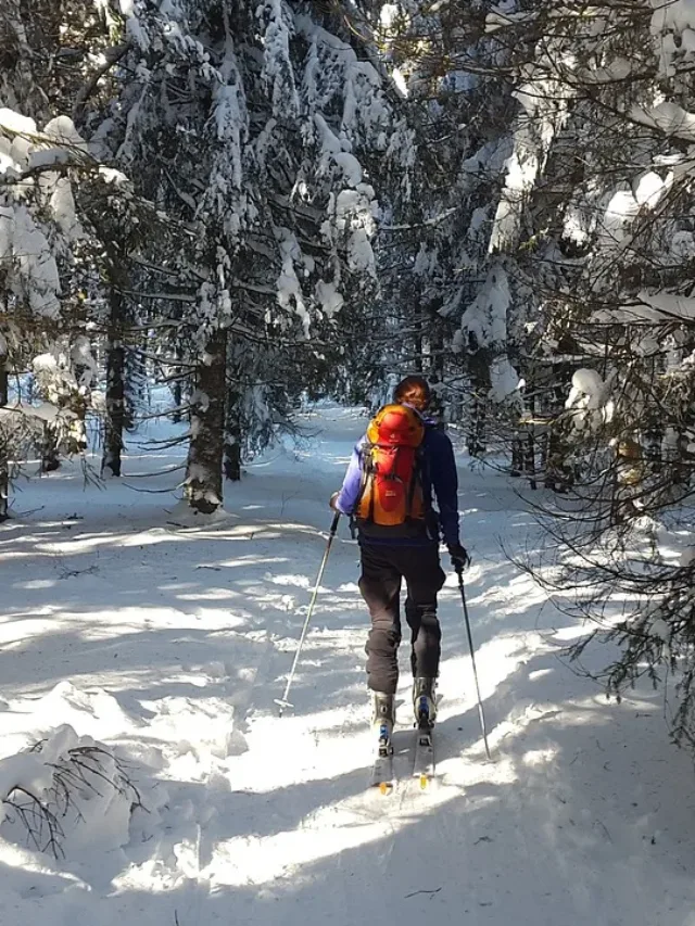 backcountry skiiing, black forest, ski-narkanda in himachal