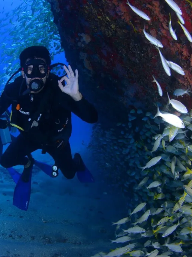 dive, blue, diving deep-scuba diving india