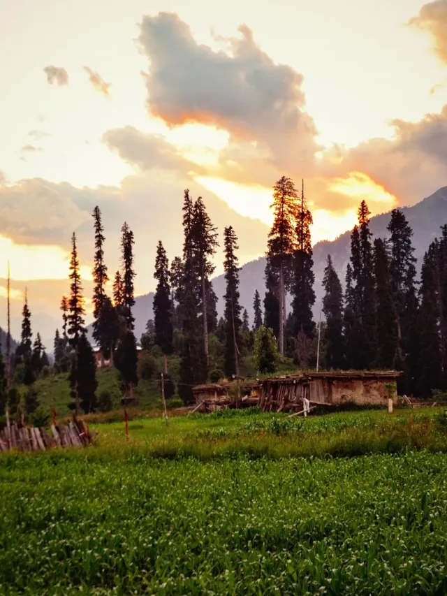 isolation, travel, luggage-jammu