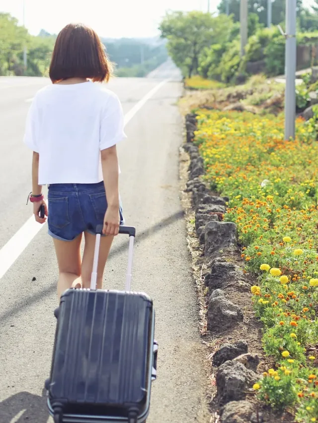 travel, here, tourist-hill station near chandigarh