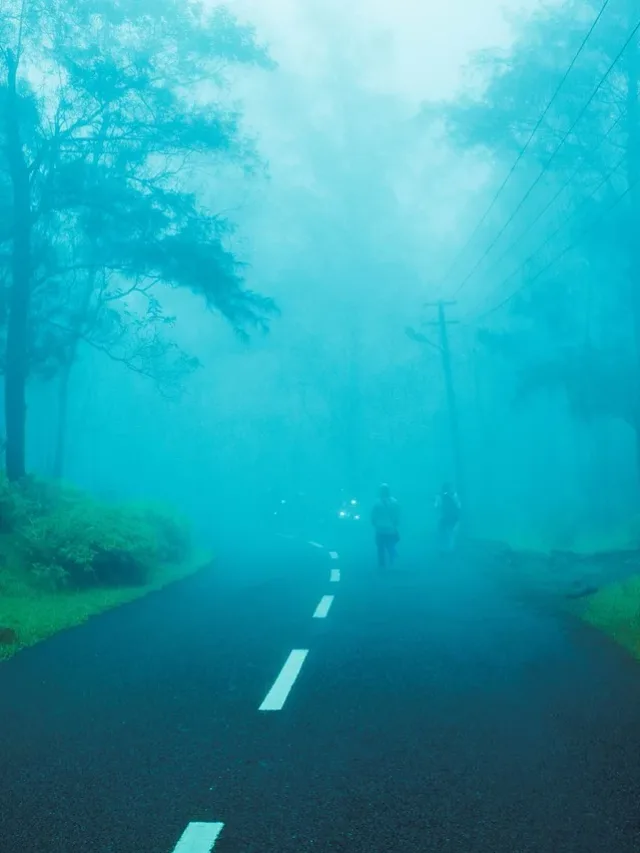 hill, hill station, foggy-summer vacation in himachal web story