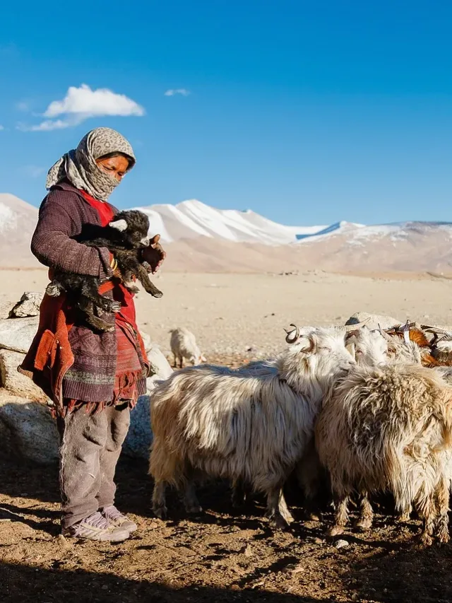 mountain, himalayan, people-Gorgeous Villages Of Ladakh
