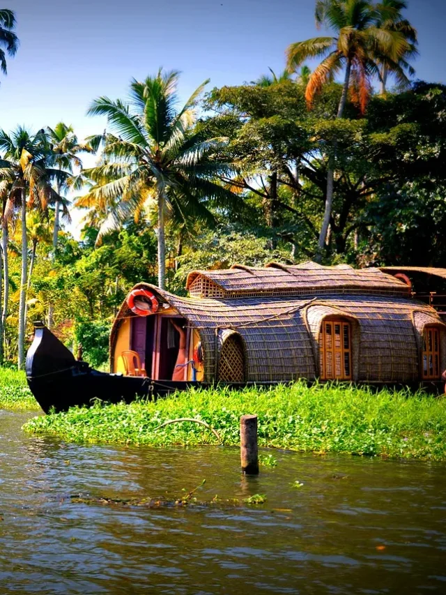 water, boats, trees-houseboat stay in india web story