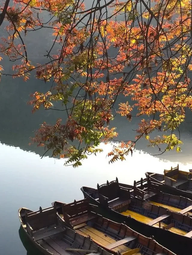 lake, boats, dock-tourist destination in nainital