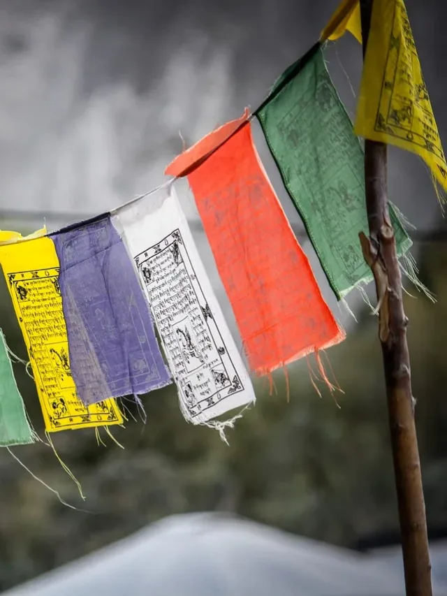 photography, ladakh, india-keylong summer vacations